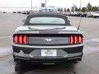 Thumbnail Photo 5 for 2020 Ford Mustang